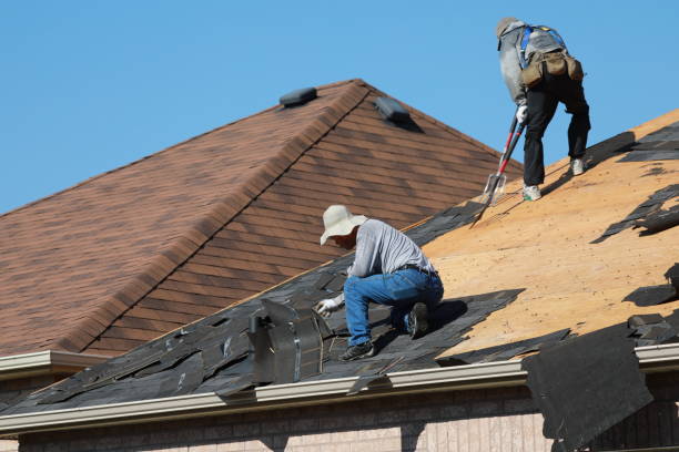 Best Gutter Installation and Repair  in Elma Center, NY